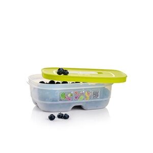 Tupperware FridgeSmart® Small